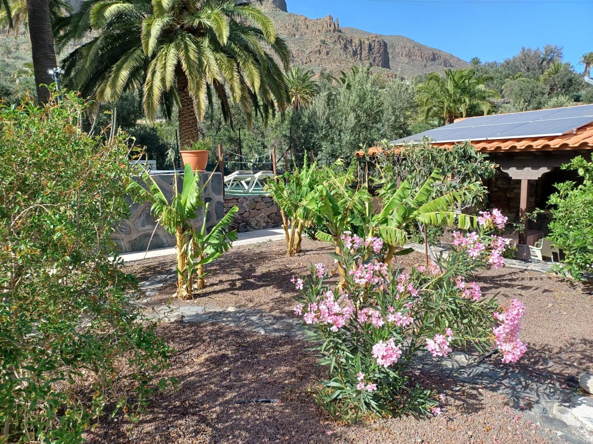 Las Palmeras Temisas エクステリア 写真